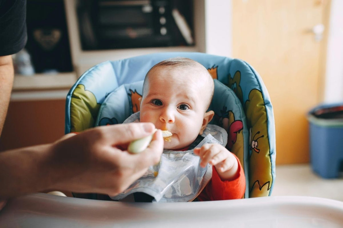 From Purees To Pieces Transitioning Your Baby To Finger Foods