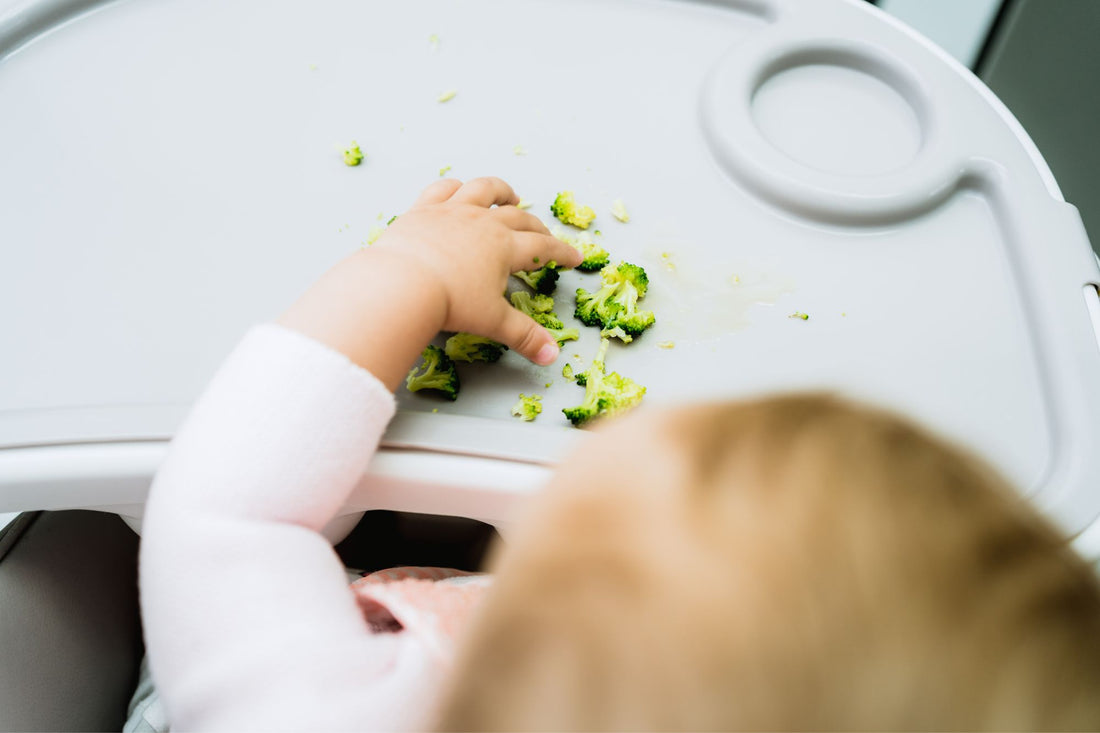 The Ultimate Guide to Baby-Led Weaning: Everything You Need to Know