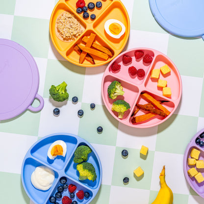 The Palmetto Plate | Suction Plate with Snap-Fit Lid (Pre-Order)