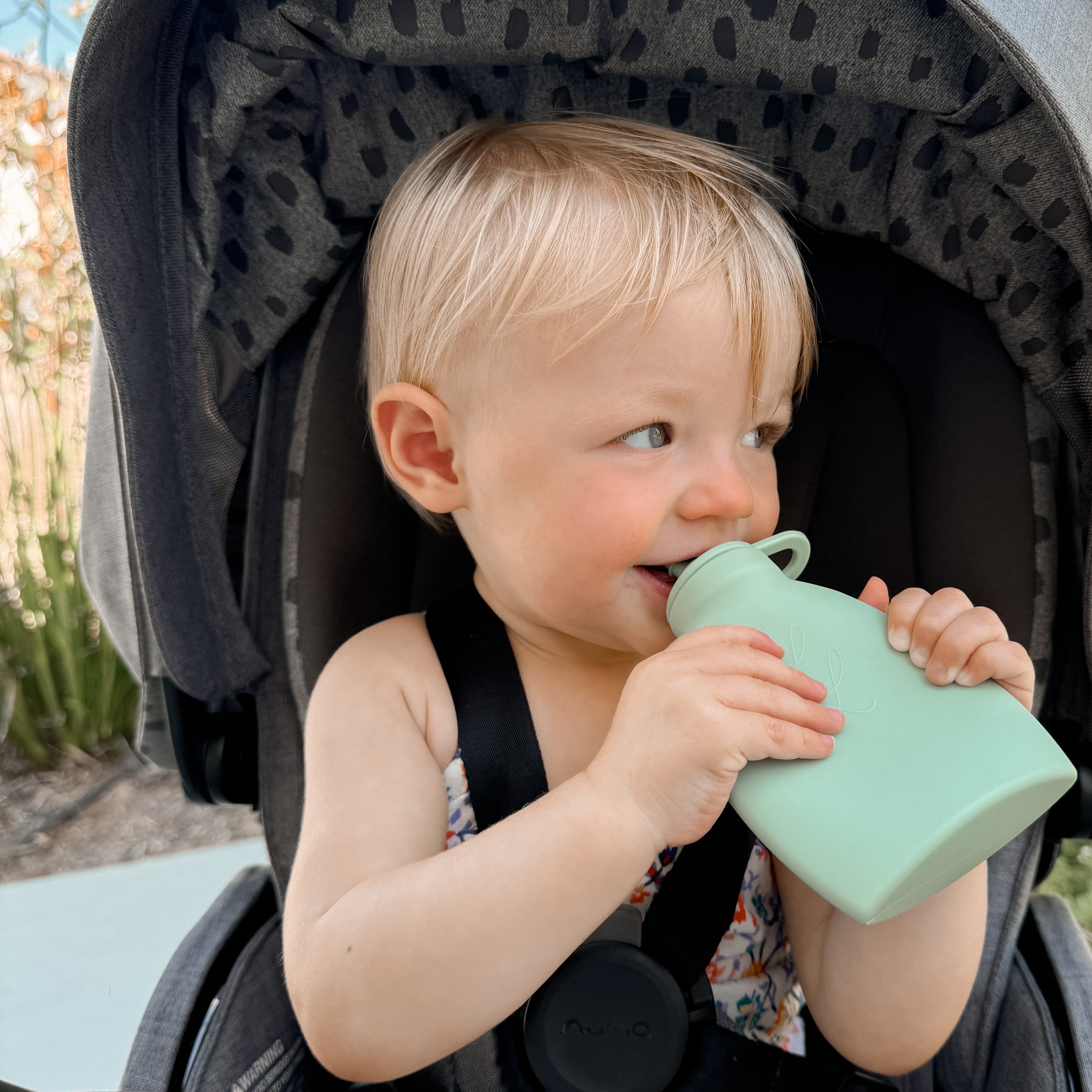 The Palmetto Pouch 2-Pack: Nontoxic Reusable Smoothie Pouch